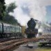Morayshire leaving